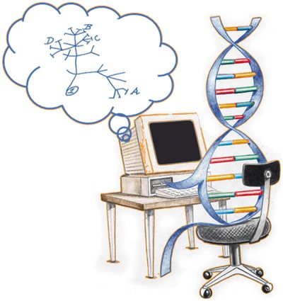 Illustration: a DNA double helix sitting at a computer, thinking of Darwin's tree of life sketch